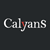 CALYANS - Intégrateur WMS (Corax)
